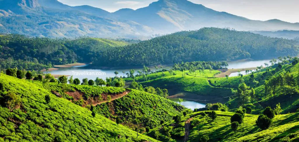 Munnar - top 10 coldest places in South India