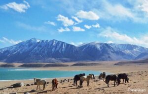Leh Ladakh - Top 10 Hill Stations In India