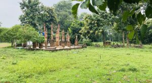 Garh Jungle - best places to visit in Durgapur