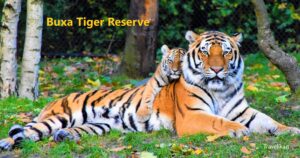 Buxa Tiger Reserve - Dooars Tourist Spots