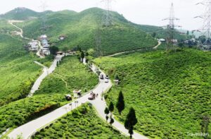 Tingling Viewpoint - Best places to visit in Mirik
