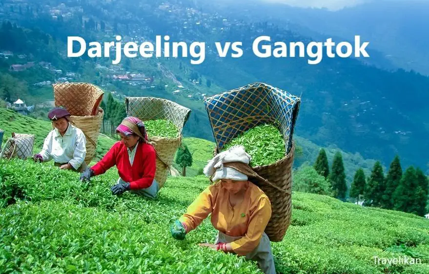 Darjeeling or Gangtok Which is Better Place